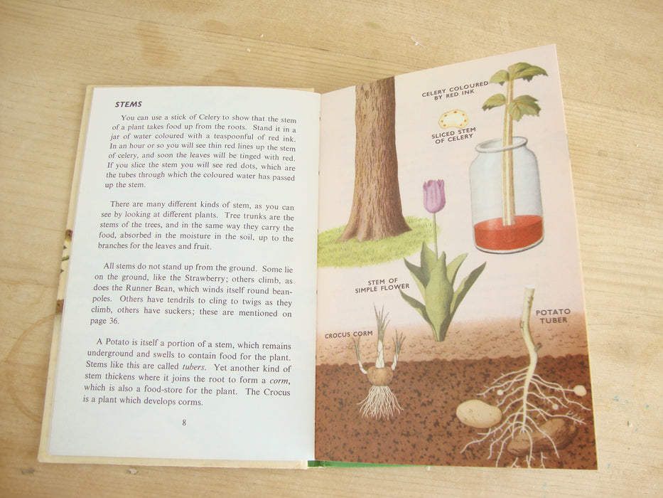 VINTAGE Ladybird -  Plants and how they Grow