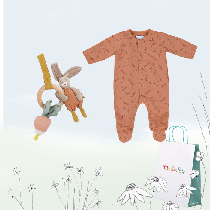 New Baby Gift Set - sprig sleep suit & activity bunny