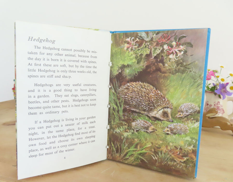 VINTAGE Ladybird Book of British Wild Animals (1971)