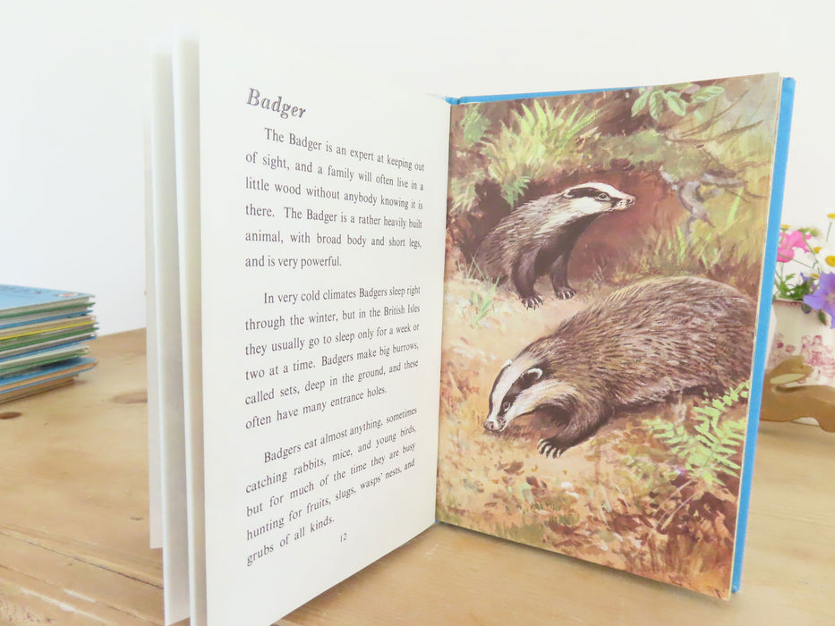 VINTAGE Ladybird Book of British Wild Animals (1971)