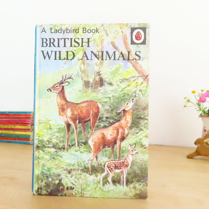 VINTAGE Ladybird Book of British Wild Animals (1971)