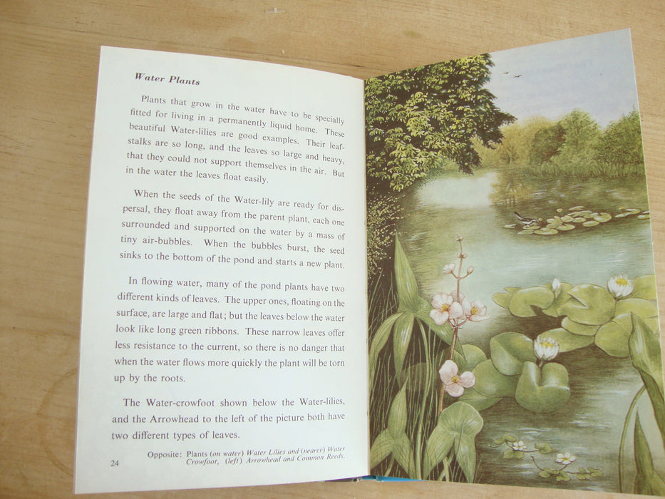 VINTAGE Ladybird -  The Ladybird Book of Pond Life