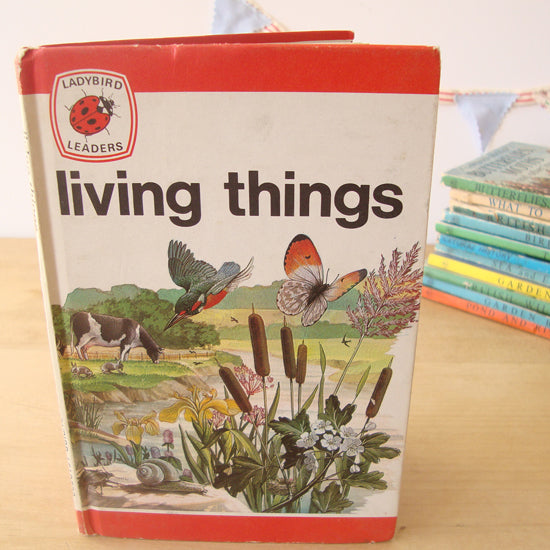 VINTAGE Ladybird - series 737 Living Things