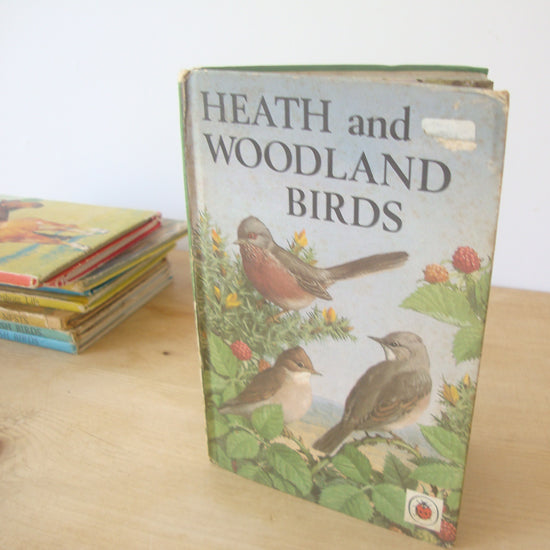 VINTAGE Ladybird -  Heath & Woodland Birds