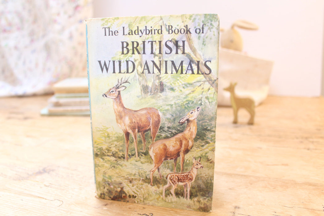 VINTAGE Ladybird book - series 536 British Wild Animals