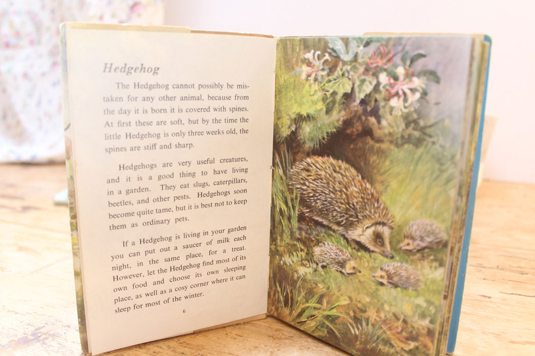 VINTAGE Ladybird book - series 536 British Wild Animals